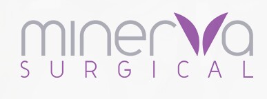 minerva